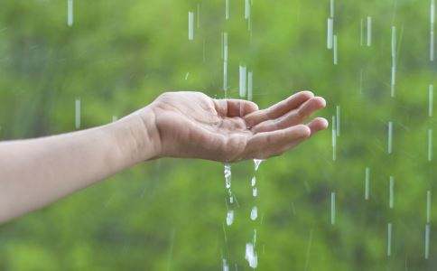 夏季雨水天气多 注意祛湿很重要