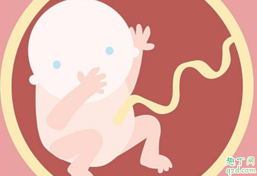 胎儿抖动是在干什么 胎儿抖动是不是缺氧2