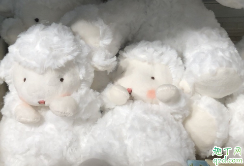 bunnies羊正版多少钱 bunnies羊怎么火的3